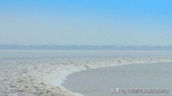 杭州出發18分鐘到達,海寧觀潮美食遊玩攻略 杭州出發18分鐘到達,海寧觀潮美食遊玩攻略