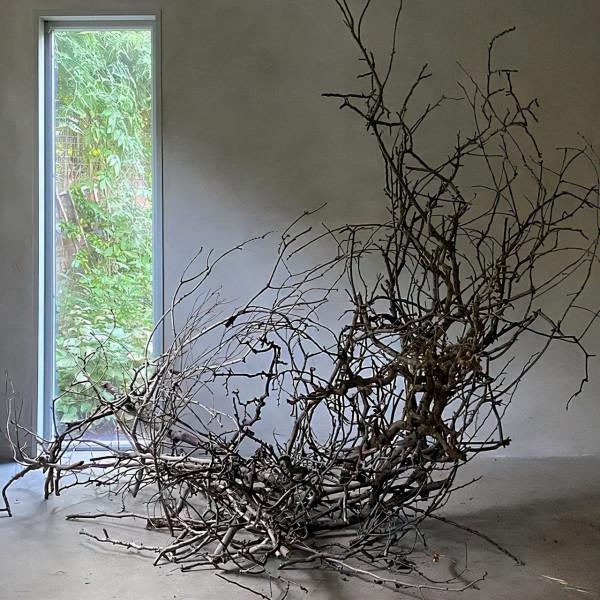 又野又美的“荒野風”花藝,太上頭了 又野又美的“荒野風”花藝,太上頭了