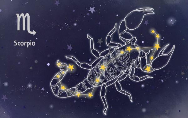 表面糊塗，內心像住著狐狸一樣狡猾的星座，極易被人低估