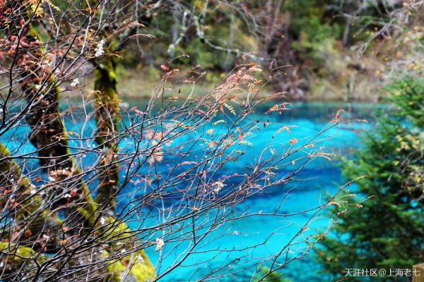 別人的生活:退休了 開始自駕遊 別人的生活:退休了 開始自駕遊