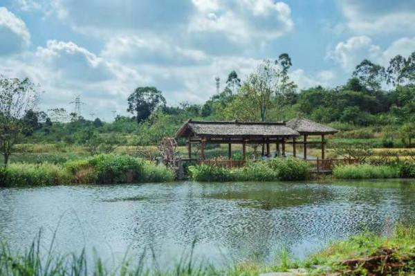 國慶大假哪裡玩?T132路天府官塘假日地鐵接駁線帶你玩轉“網紅”官塘村 國慶大假哪裡玩?T132路天府官塘假日地鐵接駁線帶你玩轉“網紅”官塘村