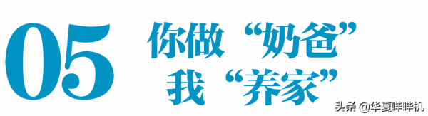 國內第一代網紅“後舍男生”,15年前火遍全國,他們現在去哪了? 國內第一代網紅“後舍男生”,15年前火遍全國,他們現在去哪了?