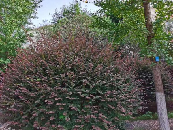 當孩子覺得父母不愛自己,其實是父母根本不知道怎麼愛自己 當孩子覺得父母不愛自己,其實是父母根本不知道怎麼愛自己