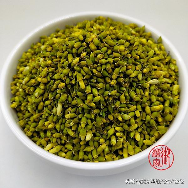 《布經》色彩：沉香色