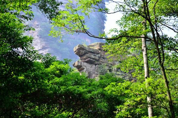 中國三座以“張家”開頭的城市,起名與張姓人士有關,知名度高 中國三座以“張家”開頭的城市,起名與張姓人士有關,知名度高