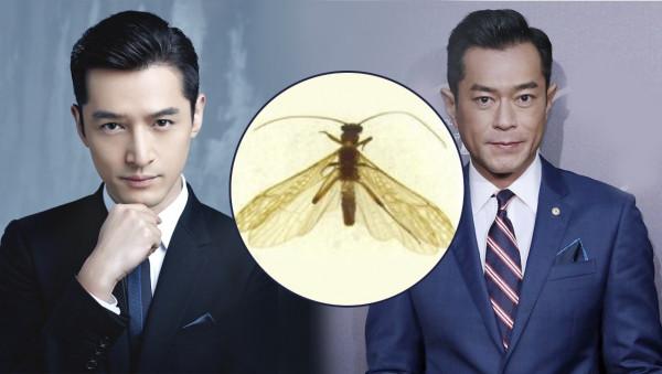 搞笑動物名字!真的有一條叫素貞的蛇,還有一隻叫川普的飛蛾 搞笑動物名字!真的有一條叫素貞的蛇,還有一隻叫川普的飛蛾