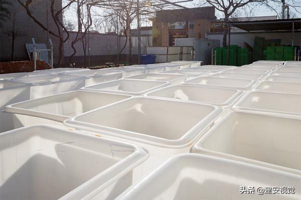 河南李彥軍：破解了國內豆芽行業的壞菜難題，打破了南北氣溫差異