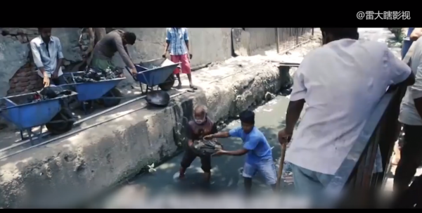 印度掏糞工:徒手幹活又髒又危險,每隔5天就會有人身亡!紀錄片 印度掏糞工:徒手幹活又髒又危險,每隔5天就會有人身亡!紀錄片