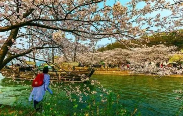 中國最美的30個地方，讓你遇見最美的春天