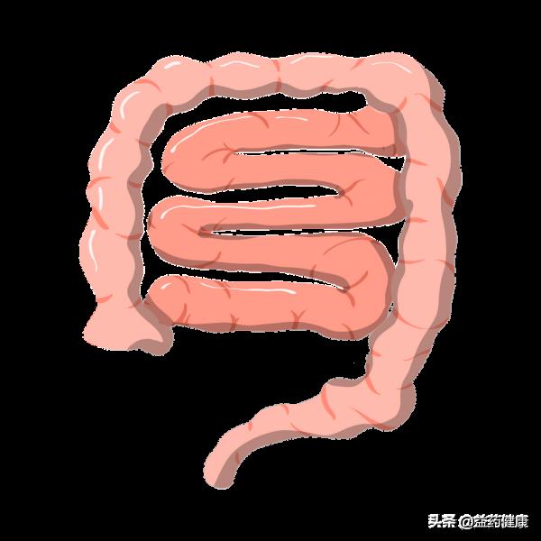 結腸炎早期有4大症狀,出現要警惕 結腸炎早期有4大症狀,出現要警惕