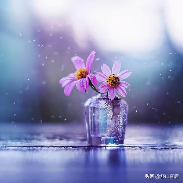 其實,你這一生過得怎樣,都蘊藏在上輩子的“因果”當中 其實,你這一生過得怎樣,都蘊藏在上輩子的“因果”當中