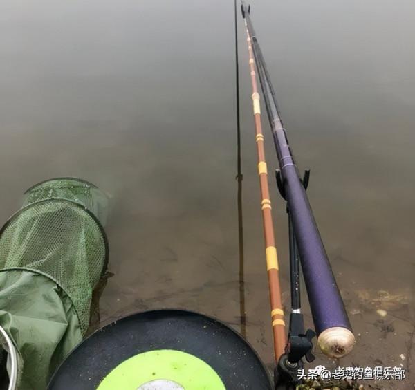 雪後野釣，野戰之王出馬，收穫大鯽魚