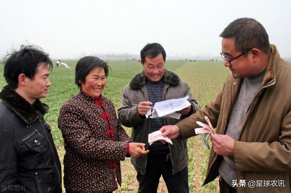 “小”組長髮揮“大”作用|農村小組組長有國家補貼工資嗎? “小”組長髮揮“大”作用|農村小組組長有國家補貼工資嗎?