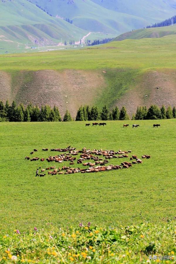 世界上最美的高山草原——那拉提草原