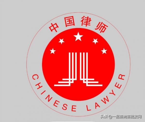 養了一批“包回收”的鴨子，我要用6年時間來“填坑”