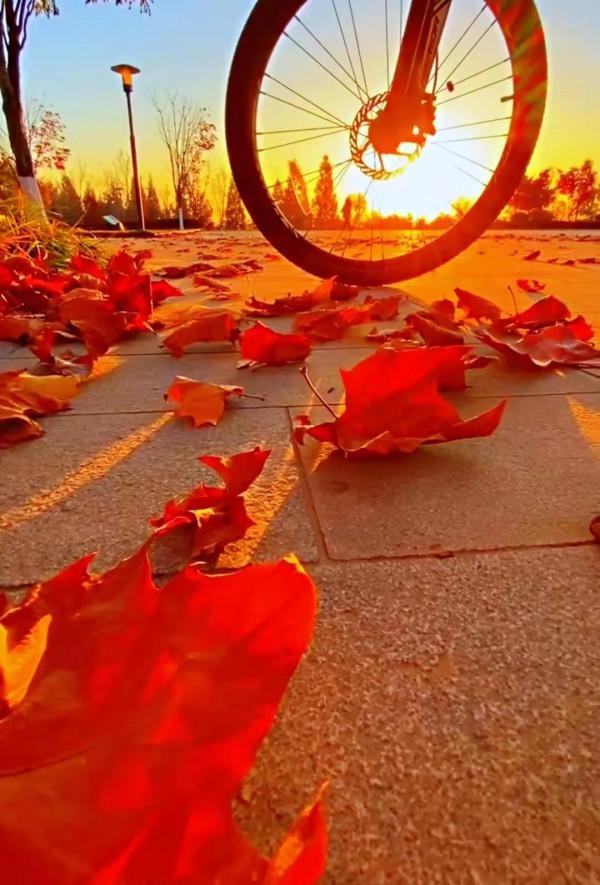 美景：夕陽下，公園裡，小徑上