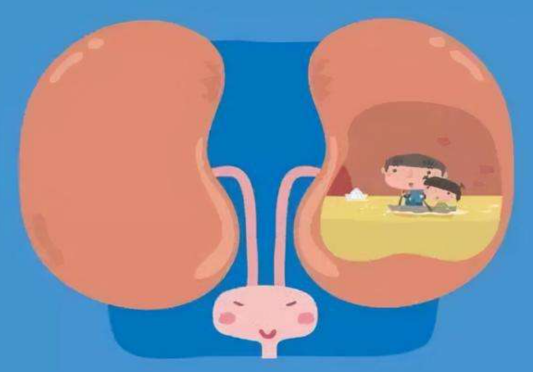 多尿與腎臟疾病