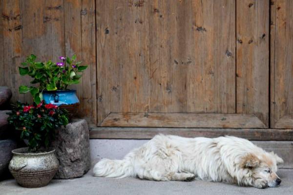浙江有一個百年古鎮,小橋流水,煙火氣息十足,超適合一個人發呆 浙江有一個百年古鎮,小橋流水,煙火氣息十足,超適合一個人發呆