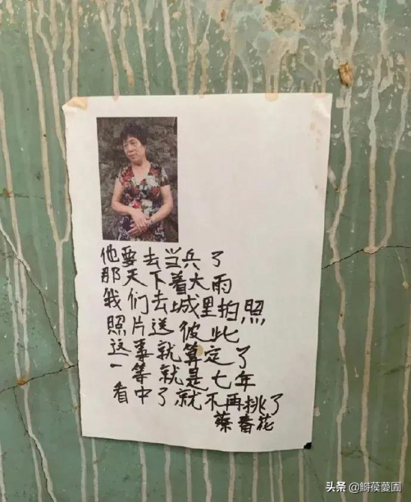 今年最後一個月,我的焦慮,被她們治癒了 今年最後一個月,我的焦慮,被她們治癒了