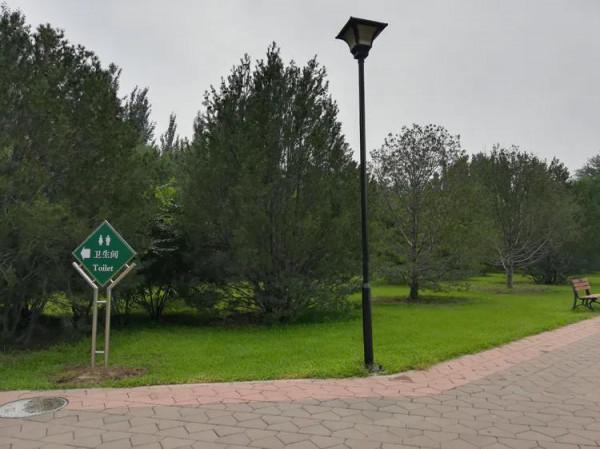 打卡京都:烈日下的朝陽公園 打卡京都:烈日下的朝陽公園