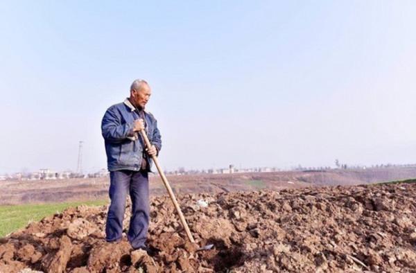 80歲老人墓穴生活實紀：在山上種地養蜂，生活悠然自得