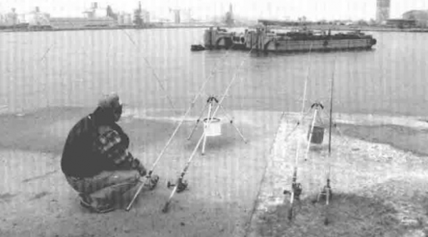 海釣比目魚釣點選擇 釣餌使用 釣法探討「 日本專業入門投釣書籍 」