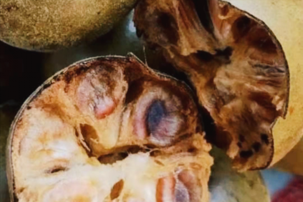 含糖量低但很甜的羅漢果,被中美日批准用來代替食糖,發生了什麼 含糖量低但很甜的羅漢果,被中美日批准用來代替食糖,發生了什麼