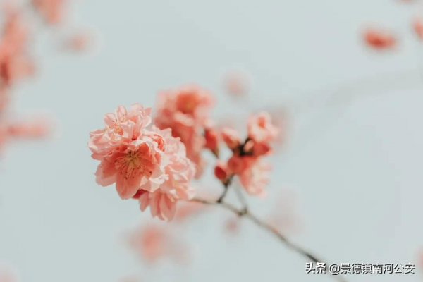 詩詞|這些朗朗上口的冷門詩詞,沒讀過可是一大損失 詩詞|這些朗朗上口的冷門詩詞,沒讀過可是一大損失