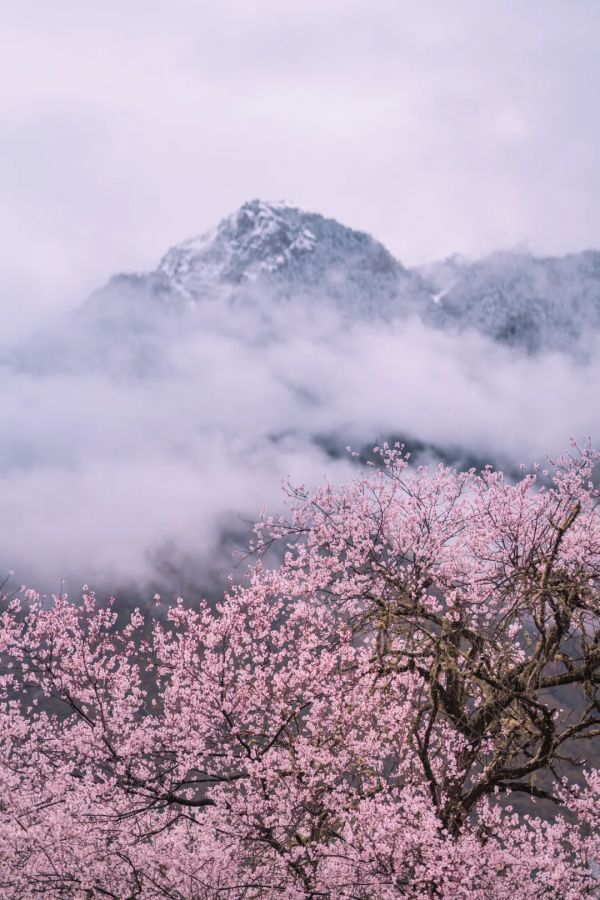 2022我不想再猶豫！旅行第一站，西藏