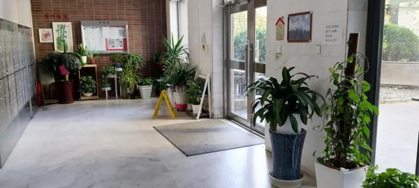 年末踩盤後記 年末踩盤後記