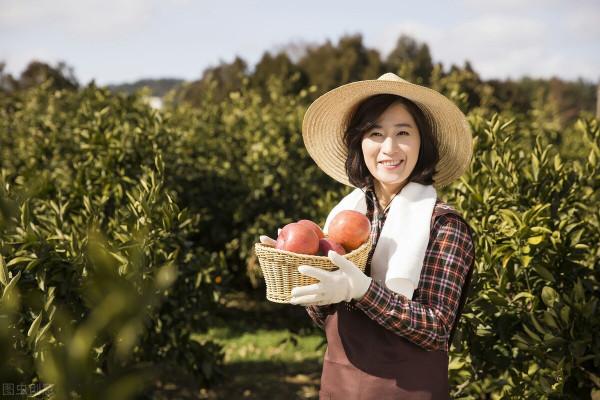 當初有多瘋狂，現在就有多淒涼，傷心的果農該何去何從