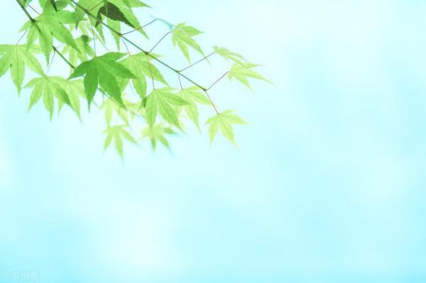 身體與靈魂,生活與文字,總有一個一直在路上 身體與靈魂,生活與文字,總有一個一直在路上