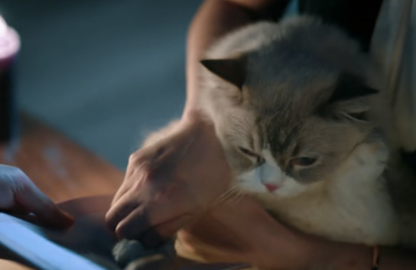 才播1天就衝到“飆升榜”第一，丁嘉文這次又選對劇本抽到王炸了