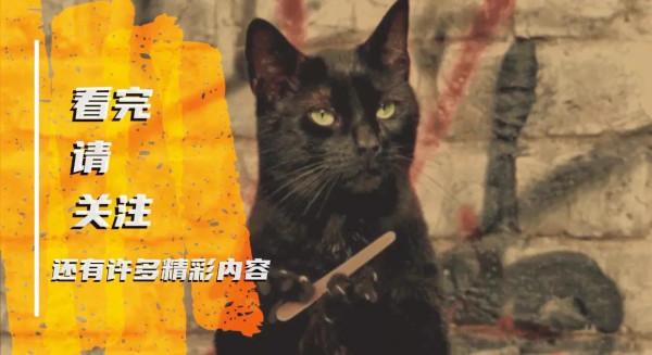 全世界僅三千隻,被烤成獻給英國女王擼的絕品羊肉串 全世界僅三千隻,被烤成獻給英國女王擼的絕品羊肉串