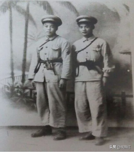 毛人鳳“901計劃”，陰謀暗害上萬志願軍，青黴素摻入神經毒劑