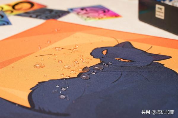 誰能想到滑鼠墊都這麼可愛,QPAD 萌寵滑鼠墊上手 誰能想到滑鼠墊都這麼可愛,QPAD 萌寵滑鼠墊上手