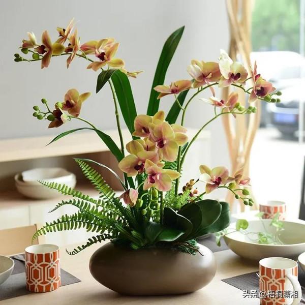 那些植物界的愛馬仕