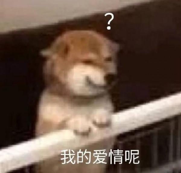 武大戀愛課爆火,“窗戶上都掛滿了人”,授課教師:這是對愛情的渴望 武大戀愛課爆火,“窗戶上都掛滿了人”,授課教師:這是對愛情的渴望