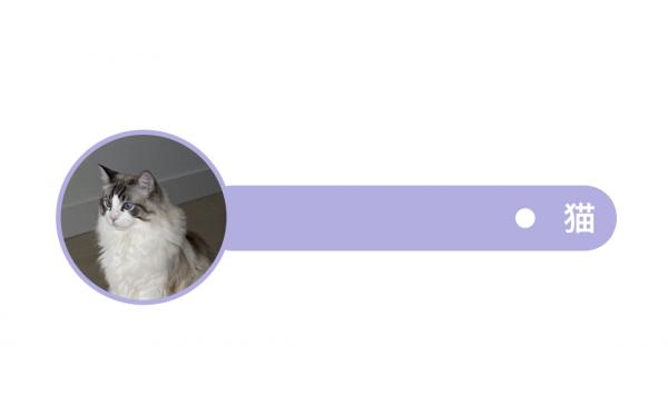 貓狗臨產護理 – 難產鑑別篇