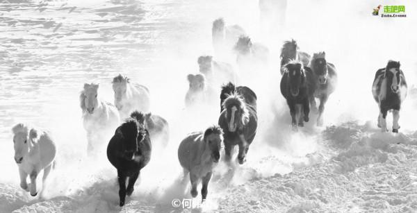 這些景點太治癒了，看完心情好了10000倍