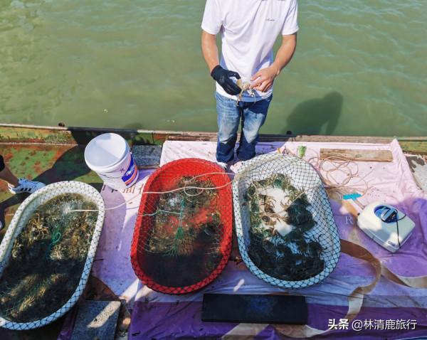 太湖私藏的高顏值小三亞：藍天碧水似海邊，免費且公交直達