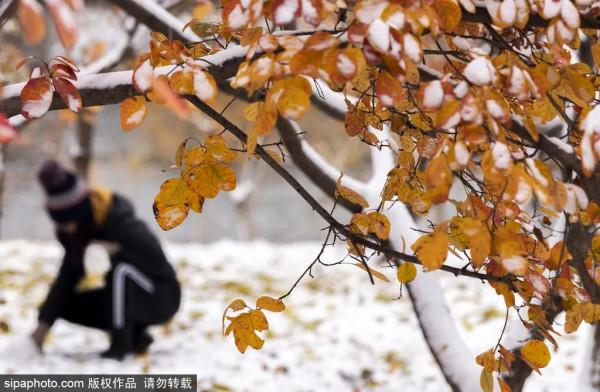 全部清零！當藝術戀上這座城，邂逅唯美“豎琴橋”，奇幻冰瀑即將亮相~