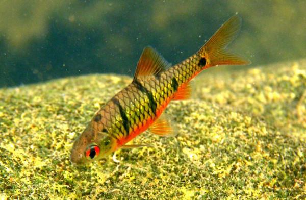 海南海口：城市公園裡的奇妙眾生相