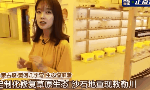 “國民初戀”王冰冰塌房了？鍵盤俠歇歇吧