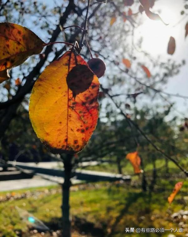 慢慢明白了，其實很多事情都是要靠自己努力