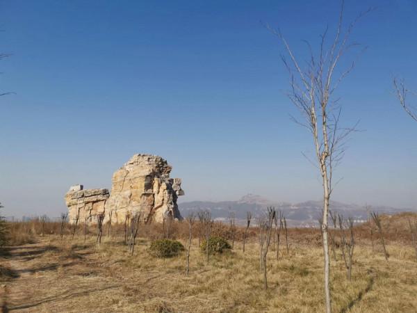 輝縣 城北 礦山公園 鳳凰來舞