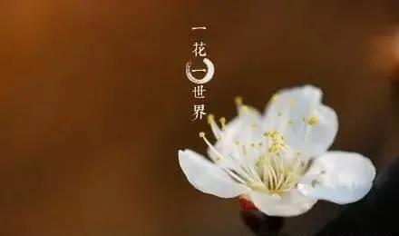 智不足多疑,度不足多怨,威不足多怒 智不足多疑,度不足多怨,威不足多怒