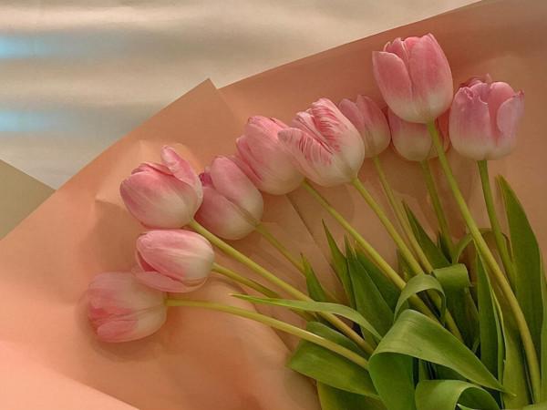 內心高貴,也強大,這些星座穿越黑暗,不屈服,終將迎來美好明天 內心高貴,也強大,這些星座穿越黑暗,不屈服,終將迎來美好明天