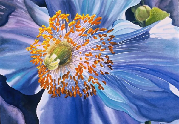 55歲拿起畫筆,成為最懂花的女人!筆下絢爛唯美的水彩花卉太美了 55歲拿起畫筆,成為最懂花的女人!筆下絢爛唯美的水彩花卉太美了