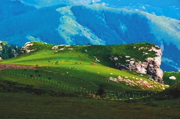 來山西 看最美秋色 來山西 看最美秋色